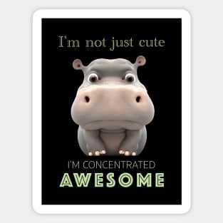 Hippo Concentrated Awesome Cute Adorable Funny Quote Magnet